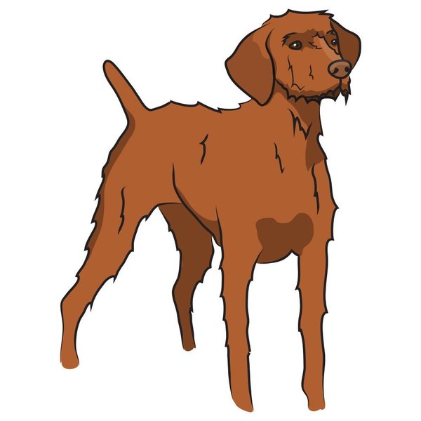 Signmission Wirehaired Vizsla Dog Decal, Dog Lover Decor Vinyl Sticker D-12-Wirehaired Vizsla